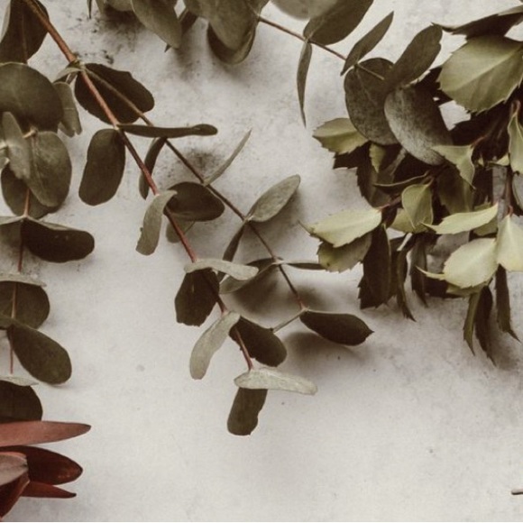 π΄πππ ππππ ππππππ, π©ππππ - Picture 1 of 2